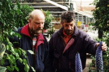 Vergr&Ouml;sserungsansicht: Gartencenter