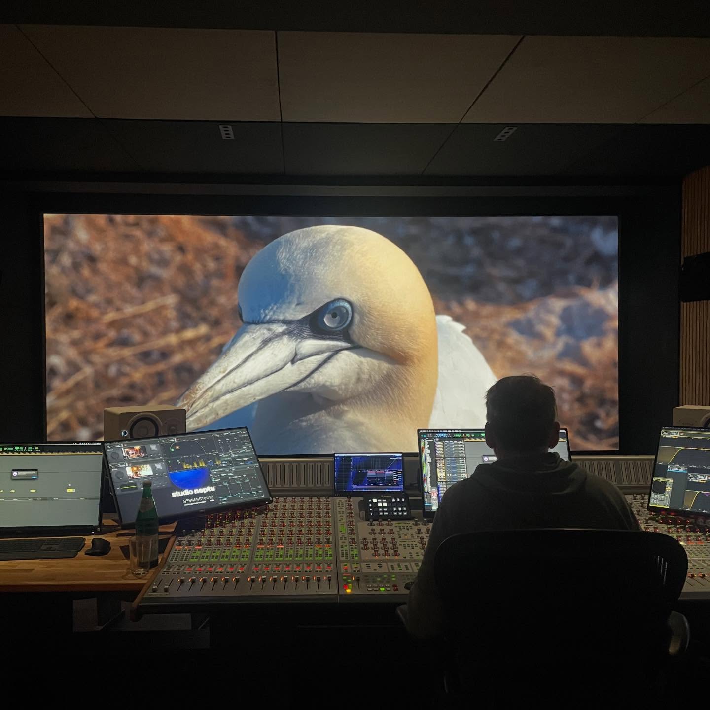 Watching People mixing WATCHING PEOPLE WATCHING BIRDS @sonnenstudioberlin_koeln 👀🎧🔊🎞️ more information coming soon 🪶… #loekenfranke #watchingpeoplewatchingbirds #birdwatcher #nature #documentary #arthouse #dokumentarfilm #loekenfranke #basstoelpel