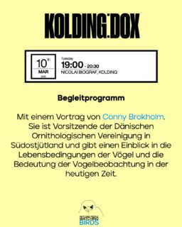 TEIL 1/3

📽️🇩🇰 DOX:DANMARK - WATCHING PEOPLE WATCHING BIRDS tourt durch 16 Städte in ganz Dänemark - inkl. Events

➡️ Unser Film läuft nicht nur vier mal in Kopenhagen, sondern tourt parallel im Rahmen von DOX:DANMARK durchs ganze Land. In 16 dänischen Städten (und es werden immer mehr…) läuft der Film im Kino, manchmal auch in einer Bibliothek oder einem Schloss. 

🎤🌳🪶 Das tolle: fast überall haben die Kinos gemeinsam mit lokalen Umweltvereinen, Der @danmarksfugle (Dänische Ornithologische Vereinigung) oder der ansässigen Vogelstation kleine Events mit speziellen Gästen und Gesprächen organisiert. Mal kommt eine bekannte Podcasterin, mal Fotografen aus dem lokalen Fotoclub, mal eine Naturführerin oder ein Vogelexperte, der Tipps für Einsteiger:innen gibt.

Hier gibt’s Teil 1 der Übersicht zu DOX:DANMARK!

—

DOX:DANMARK - WATCHING PEOPLE WATCHING BIRDS is touring 16 cities across Denmark - including events

➡️ Our film is not only being shown four times in Copenhagen, but is also touring the whole country as part of DOX:DANMARK. The film is being shown in cinemas in 16 Danish cities (and the number is growing...), sometimes in libraries or castles. 

🎤🌳🪶 The great thing is that almost everywhere, the cinemas have teamed up with local environmental associations, the Danish Ornithological Society, or the local bird station to organize small events with special guests and discussions. Sometimes a well-known podcaster comes, sometimes photographers from the local photography club, sometimes a nature guide or a bird expert who gives tips for beginners.

Here’s part 1 of the overview of DOX:DANMARK!

#watchingpeoplewatchingbirds #doxdanmark #danishbirds