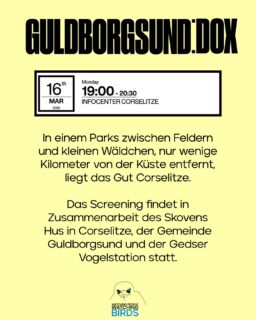 TEIL 2/3

📽️🇩🇰 DOX:DANMARK - WATCHING PEOPLE WATCHING BIRDS tourt durch 16 Städte in ganz Dänemark - inkl. Events

➡️ Unser Film läuft nicht nur vier mal in Kopenhagen, sondern tourt parallel im Rahmen von DOX:DANMARK durchs ganze Land. In 16 dänischen Städten (und es werden immer mehr…) läuft der Film im Kino, manchmal auch in einer Bibliothek oder einem Schloss. 

🎤🌳🪶 Das tolle: fast überall haben die Kinos gemeinsam mit lokalen Umweltvereinen, Der @danmarksfugle (Dänische Ornithologische Vereinigung) oder der ansässigen Vogelstation kleine Events mit speziellen Gästen und Gesprächen organisiert. Mal kommt eine bekannte Podcasterin, mal Fotografen aus dem lokalen Fotoclub, mal eine Naturführerin oder ein Vogelexperte, der Tipps für Einsteiger:innen gibt.

Hier gibt’s Teil 1 der Übersicht zu DOX:DANMARK!

—

DOX:DANMARK - WATCHING PEOPLE WATCHING BIRDS is touring 16 cities across Denmark - including events

➡️ Our film is not only being shown four times in Copenhagen, but is also touring the whole country as part of DOX:DANMARK. The film is being shown in cinemas in 16 Danish cities (and the number is growing...), sometimes in libraries or castles. 

🎤🌳🪶 The great thing is that almost everywhere, the cinemas have teamed up with local environmental associations, the Danish Ornithological Society, or the local bird station to organize small events with special guests and discussions. Sometimes a well-known podcaster comes, sometimes photographers from the local photography club, sometimes a nature guide or a bird expert who gives tips for beginners.

Here’s part 1 of the overview of DOX:DANMARK!

#watchingpeoplewatchingbirds #doxdanmark #loekenfranke #documentary #birdwatching