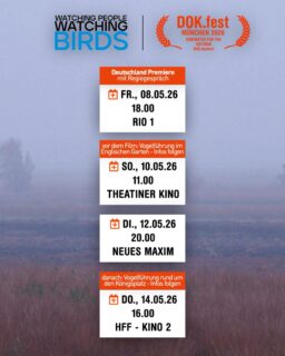 Unsere 4 Termine beim DOK. fest in der Übersicht 🗓️🧡 

___

Here’s an overview of our 4 events at the DOK. festival 🗓️🧡 

 #loekenfranke #dokfest #münchen #documentary #birdwatching