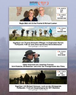 Heute werfen wir einen Blick auf das Begleitprogramm, das rund um das DOK.fest stattfindet.

🎥08.05. 18 Uhr im Rio 1 (Deutschlandpremiere)

🎤 Im Anschluss an den Film sind die beiden Regisseure Ulrike Franke und Michael Loeken sowie Protagonisten und Teammitglieder zum Q&A mit Moderator Daniel Lang @_flyingfridge_ vor Ort. 

🎥10.05. 11 Uhr im Theatiner

🎤Auch hier sind Ulrike Franke und Michael Loeken zum Regiegespräch mit Moderator Pablo Bücheler @pablopulp vor Ort.
🦉 Vor der Filmvorführung findet außerdem eine kostenlose Vogelführung im Englischen Garten statt. Geleitet wird die Tour von Vogelfreund und Naturführer Thomas Griesohn-Pflieger, der gleichzeitig einer der Protagonisten des Films ist.Vom Treffpunkt aus geht es in den Englischen Garten und entlang des Schwabinger Bachs. Die Tour endet um ca. 10:40 Uhr am Theatiner Kino. Wer ein Fernglas hat, sollte es mitbringen. Bei Dauerregen fällt die Führung aus.
Voraussetzung für die Teilnahme ist ein gültiges Kino-Ticket für eine der vier Vorstellungen von WATCHING PEOPLE WATCHING BIRDS.

📍Treffpunkt: Sonntag, 10. Mai, 9:00 Uhr vor dem Amerikanischen Generalkonsulat (Von-der-Tann-Straße / Ecke Freiherr-von-Pechmann-Weg)

🎥12.05. 20 Uhr im Neues Maxim
 
🎤 Im Anschluss an den Film wird ein exklusiv für das DOK.fest aufgezeichnetes Q&A mit Schriftsteller, Birdwatcher und Protagonist Jonathan Franzen im Kino gezeigt.
 
🎥14.05. 16 Uhr in der HFF - Kino 2

🐦‍⬛Im Anschluss findet ein kostenloser Vogelspaziergang rund um den Königsplatz statt. Geleitet wird die Tour von Michael Hemauer, Biodiversitätsberater des @rku_muenchen . Die Teilnehmenden treffen sich am Haupteingang der HFF München und brechen gemeinsam Richtung Königsplatz auf. Die Führung bietet die Möglichkeit, heimische Vogelarten in den Abendstunden zu beobachten und zu hören. Wer ein Fernglas hat, sollte es mitbringen. Bei Dauerregen fällt die Führung aus.
Voraussetzung für die Teilnahme ist ein gültiges Kino-Ticket für den Film.

📍Treffpunkt: Mittwoch, 14. Mai, im Anschluss an die Filmvorführung (ca. 17:45 Uhr) am Haupteingang der HFF München

#loekenfranke #documentary #birdwatching #munich dokfes