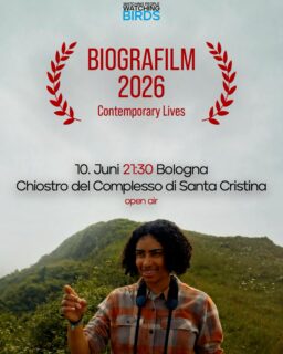 Der Juni wird zum Festivalmonat! 🇮🇹
WATCHING PEOPLE WATCHING BIRDS ist Teil des @biografilm Festivals in Bologna. Wir freuen uns sehr! ☀️📽️
Besonders toll ist, dass der Film open air gezeigt wird, und zwar in der abendlichen Dämmerung im Kreuzgang des Chiostro del Complesso di Santa Cristina “della Fondazza” - einem alten mittelalterlichen Kloster, in dem heute der Fachbereich Kunstgeschichte der Universität Bologna untergebracht ist. Umgeben von Bäumen und Vogelgezwitscher: was für eine schöne Open Air Premiere! 🌙🦉
🗓️ 10.06.2026 / 21:30 Uhr
📍 Chiostro del Complesso di Santa Cristina “della Fondazza”, Bologna
🎤 mit Regie-Q&A im Anschluss
___
June is turning into a festival month! 🇮🇹
WATCHING PEOPLE WATCHING BIRDS is part of the Biografilm Festival in Bologna. We’re so excited! ☀️📽️
What’s especially great is that the film will be screened outdoors, at dusk in the cloister of the Chiostro del Complesso di Santa Cristina “della Fondazza” - an ancient medieval monastery that now houses the Department of Art History at the University of Bologna. Surrounded by trees and birdsong: what a beautiful open-air premiere! 🌙🦉
🗓️ June 10, 2026 / 9:30 PM
📍 Chiostro del Complesso di Santa Cristina “della Fondazza,” Bologna
🎤 followed by a Q&A with the directors
#loekenfranke #birdwatching #birding #bologna #openair