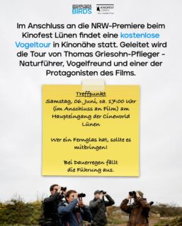 🌿🕊️Auch beim @kinofestluenen2026 wird es wieder eine Vogelführung geben. Nach dem Film und dem anschließenden Q&A nimmt uns Protagonist Thomas Griesohn-Pflieger mit in das kleine Grüngebiet rund um die Lippeauen.
📍Treffpunkt: ca. 17 Uhr am Haupteingang der Cineworld Lünen.
🕞 Dauer: ca. 1 Stunde
🌧️ Bei Dauerregen fällt die Führung aus!
🎟️ Voraussetzung ist ein gültiges Kinoticket für die vorangehende Filmvorstellung.
____
There will also be another bird-watching tour in Lünen. After the film and the Q&A session that follows, protagonist Thomas Griesohn-Pflieger will take us on a tour of the small green area around the Lippe floodplains.
📍Meeting point: approx. 5:00 p.m. at the main entrance of Cineworld Lünen.
🕞 Duration: approx. 1 hour
🌧️ The tour will be canceled in case of continuous rain!
🎟️ You must have a valid movie ticket for the preceding screening.